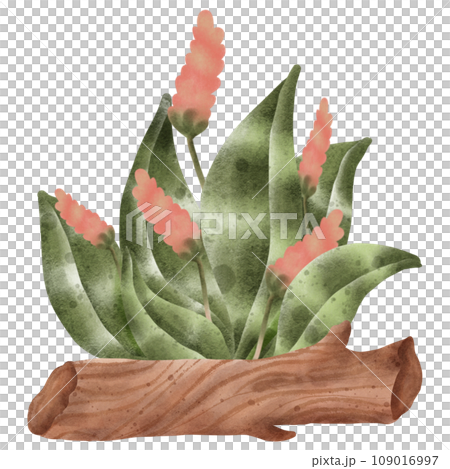 Watercolor painting of a flower tree next to a log for gardening. 109016997