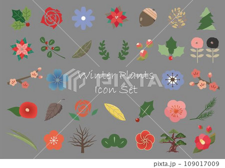 冬の植物のアイコンセット　黒板背景 109017009