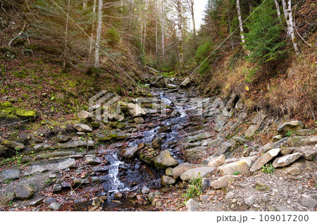 Beautiful autumn or fall landscape in Carpathian Mountains, Ukraine. Mountain river in the forest with stones. Tatariv, Ivano-Frankivsk Oblast. Road to Huk waterfall. Selective focus Beautiful autumn or fall landscape in Carpathian Mountains, Ukraine. Mountain river in the forest with stones. Tatariv, Ivano-Frankivsk Oblast. Road to Huk waterfall. Selective focus 109017200
