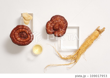 Advertising scene with rare medicine - lingzhi mushrooms and ginseng root displayed on white background with glass podiums. Ginseng and Ganoderma are both medicinal herbs that help improve health 109017953