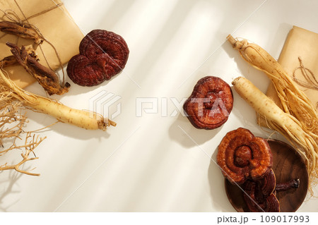 Medicines originating from ancient China and Korean, health-protecting foods. Fresh ginseng roots and lingzhi mushrooms decorated with medicine packaging and dry twigs on white background 109017993