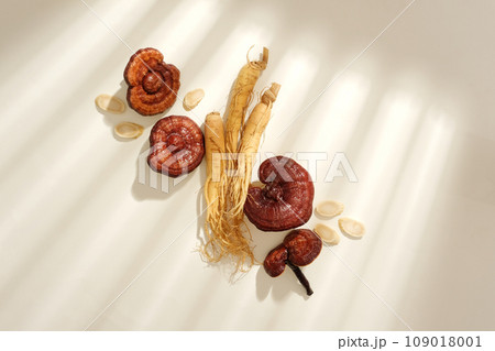 Scene for advertising natural ingredient good for health. Some rare herbs, ganoderma mushrooms, roots and slices of ginseng decorated on white background and shadow of window 109018001
