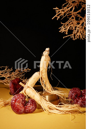 Scene for medicine advertising, photography traditional medicine content with lingzhi mushrooms and ginseng roots on black background. Front view, these herbs provide many health benefits 109018012