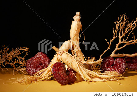 Minimalist scene for advertising and branding medicine product with herbal ingredient. Rare herbs with ganoderma mushrooms and ginseng roots decorated with dry twigs on black background 109018013