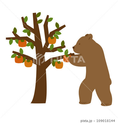 柿の木から柿の実を採るクマのイラスト 109018144