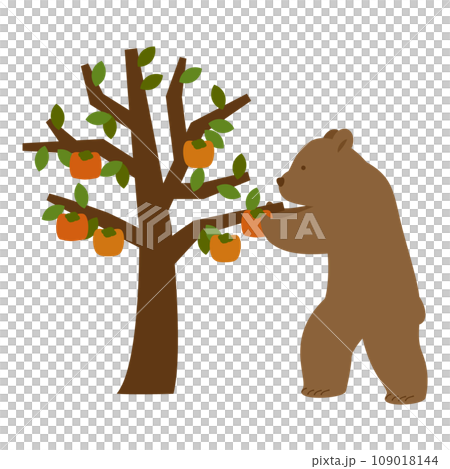 柿の木から柿の実を採るクマのイラスト 109018144