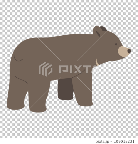 一隻熊側身看的插圖 一隻熊側身看的插圖 109018231