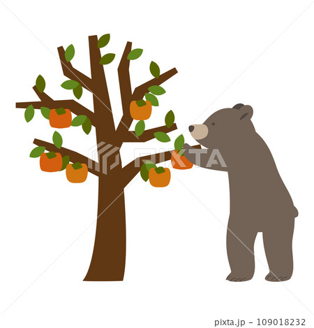 柿の木から柿の実を採るクマのイラスト 109018232