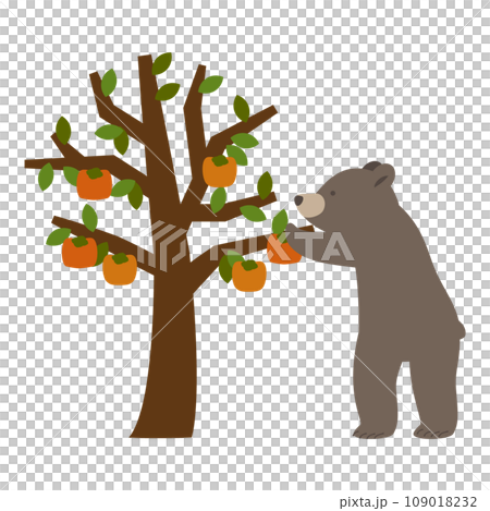 柿の木から柿の実を採るクマのイラスト 109018232