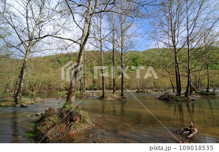 Tesvikiye, Yalova, Turkey. 109018535