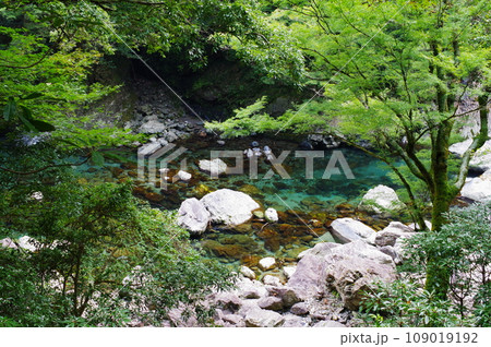 大杉谷（三重県） 109019192