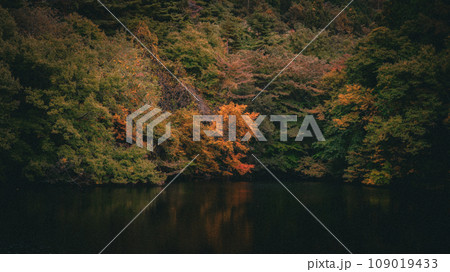 水面に映る紅葉 109019433