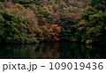 水面に映る紅葉 109019436