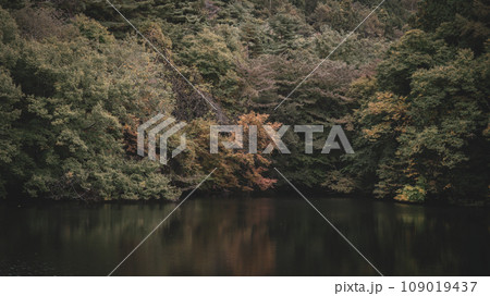 水面に映る紅葉 109019437