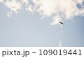 空を飛ぶ鳥 109019441
