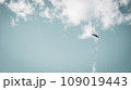 空を飛ぶ鳥 109019443