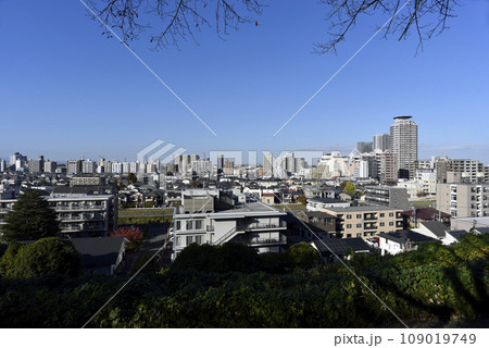 いろは坂桜公園から観た聖蹟桜ヶ丘の街並み いろは坂桜公園から観た聖蹟桜ヶ丘の街並み 109019749