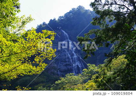 大杉谷（三重県） 109019804