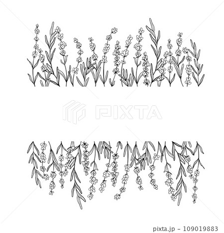 Frame of Lavender flower line art drawing. Hand drawn black ink sketch. Design border for wedding invitation, logo, cards, packaging and labeling. Botanical rustic trendy greenery vector illustration. Frame of Lavender flower line art drawing. Hand drawn black ink sketch. Design border for wedding invitation, logo, cards, packaging and labeling. Botanical rustic trendy greenery vector illustration. 109019883