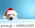 White polar bear in Santa Claus hat isolated on light blue background. New Year or Christmas concept. Banner with a white polar bear and copy space. 109021005