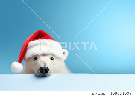 White polar bear in Santa Claus hat isolated on light blue background. New Year or Christmas concept. Banner with a white polar bear and copy space. 109021005