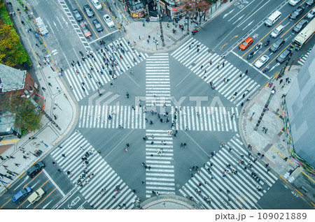 交差点を渡る歩行者 109021889