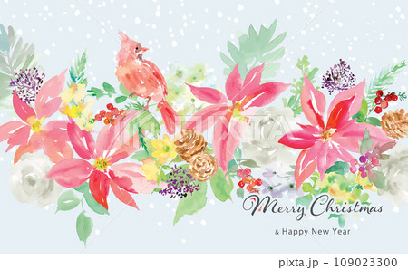水彩で描いたポインセチアとカーディナルのクリスマスカードイラスト 水彩で描いたポインセチアとカーディナルのクリスマスカードイラスト 109023300