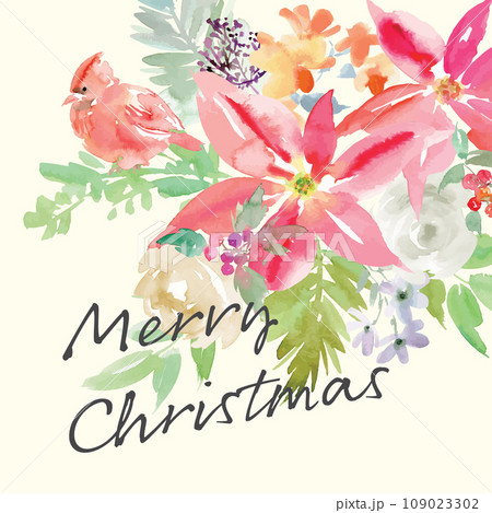 水彩で描いたポインセチアとカーディナルのクリスマスカードイラスト 109023302