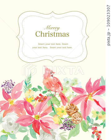 水彩で描いたポインセチアとカーディナルのクリスマスカードイラスト 109023307