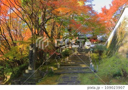 普現禅寺（臼杵市） 109023907