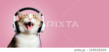 A funny cat listens to music on headphones and sings on a colored background, close-up muzzle. 109026009