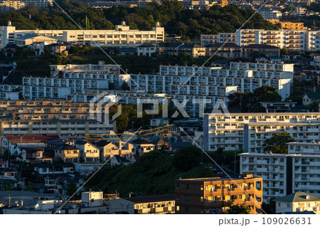 《神奈川県》早朝の住宅街の風景・横浜市郊外エリア 109026631
