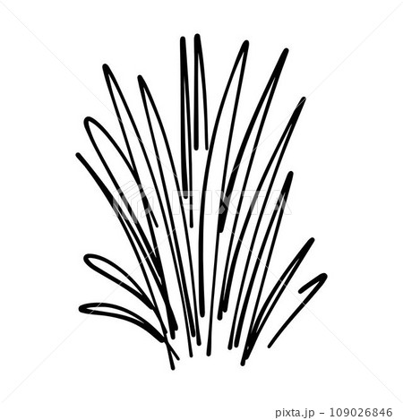 Grass icon illustration, hand drawn in sketch, brush style design and background element Grass icon illustration, hand drawn in sketch, brush style design and background element 109026846