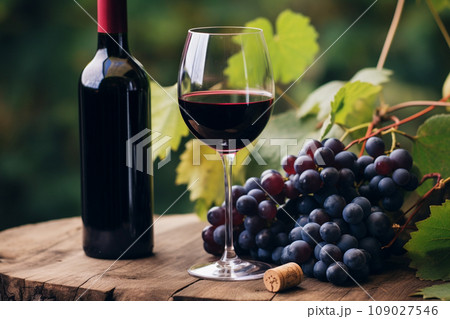 Glass of wine against the backdrop of a vineyard Glass of wine against the backdrop of a vineyard 109027546