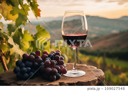 Glass of wine against the backdrop of a vineyard Glass of wine against the backdrop of a vineyard 109027548