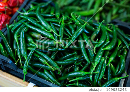Photo shows garden stuff shop window with display of chilli pepper. Photo shows garden stuff shop window with display of chilli pepper. 109028248