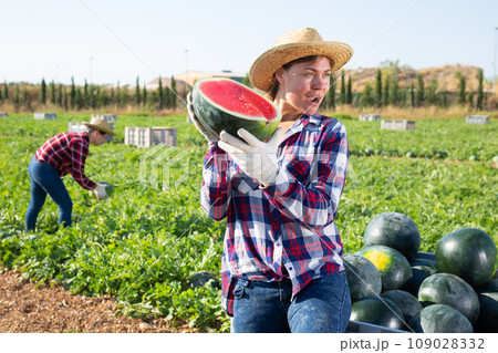 Woman with half of watermelon on fruit farm 109028332