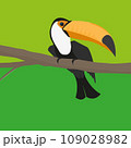 Vector illustration of a toucan sitting on a branch 109028982