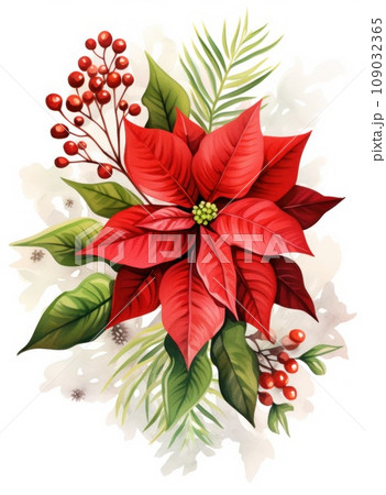 poinsettia a christmas floral, watercolor paintings poinsettia a christmas floral, watercolor paintings 109032365