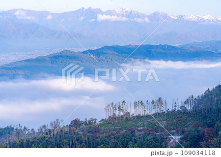 【雲海素材】秋の長峰山から見た松本平の雲海【長野県】 【雲海素材】秋の長峰山から見た松本平の雲海【長野県】 109034118