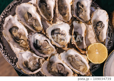Top view of dozen opened fresh raw oysters in shells with lemon slice in silver pewter serving tray. Luxury expensive delicates seafood in a restaurant. Traditional french food culture. Top view of dozen opened fresh raw oysters in shells with lemon slice in silver pewter serving tray. Luxury expensive delicates seafood in a restaurant. Traditional french food culture. 109034739