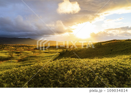 知床五胡フィールドハウス　高架木道から見た知床の夕暮れ　北海道斜里町 109034814