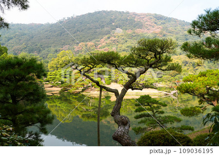 特別名勝・栗林公園の秋(香川県高松市)ミシュラン★★★ 特別名勝・栗林公園の秋(香川県高松市)ミシュラン★★★ 109036195
