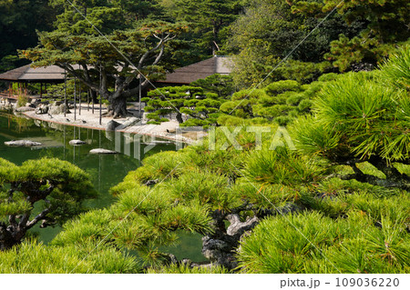 特別名勝・栗林公園の秋(香川県高松市)ミシュラン★★★ 特別名勝・栗林公園の秋(香川県高松市)ミシュラン★★★ 109036220