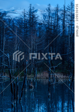 日没を迎えた「青い池」と澄んだ夜空の夜景｜北海道美瑛町白金｜11月 109036456