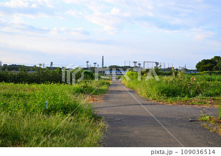 東武鉄道　電車通過中　見沼農耕地　さいたま市　 109036514