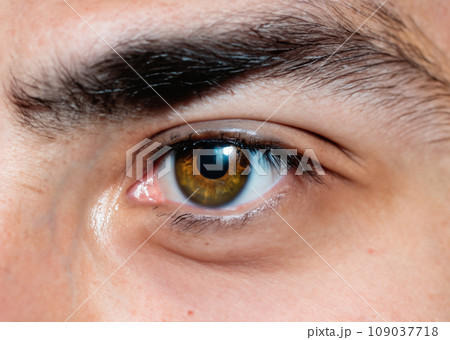 未来を見通すビジネスのイメージフォト 白人男性の目、虹彩、瞳のマクロ撮影 クローズアップAI生成画像 未来を見通すビジネスのイメージフォト 白人男性の目、虹彩、瞳のマクロ撮影 クローズアップAI生成画像 109037718