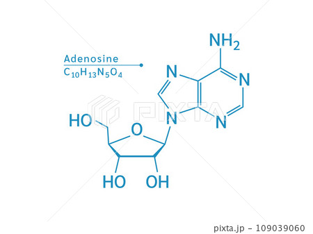 Adenosine structural chemical formula isolated on white background. Vector EPS10 illustration. Caffeine is a central nervous system stimulant. Medical and scientific concepts. 109039060