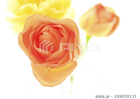 明るいオレンジと黄色のバラ 明るいオレンジと黄色のバラ 109039133