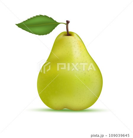 Green whole pear. Healthy food fruit vitamins. On a white background. Realistic 3D Vector illustration. Green whole pear. Healthy food fruit vitamins. On a white background. Realistic 3D Vector illustration. 109039645